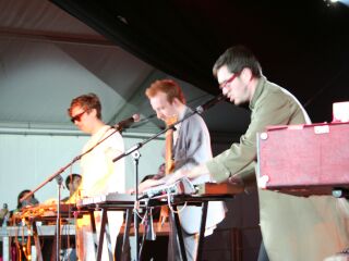 hot chip